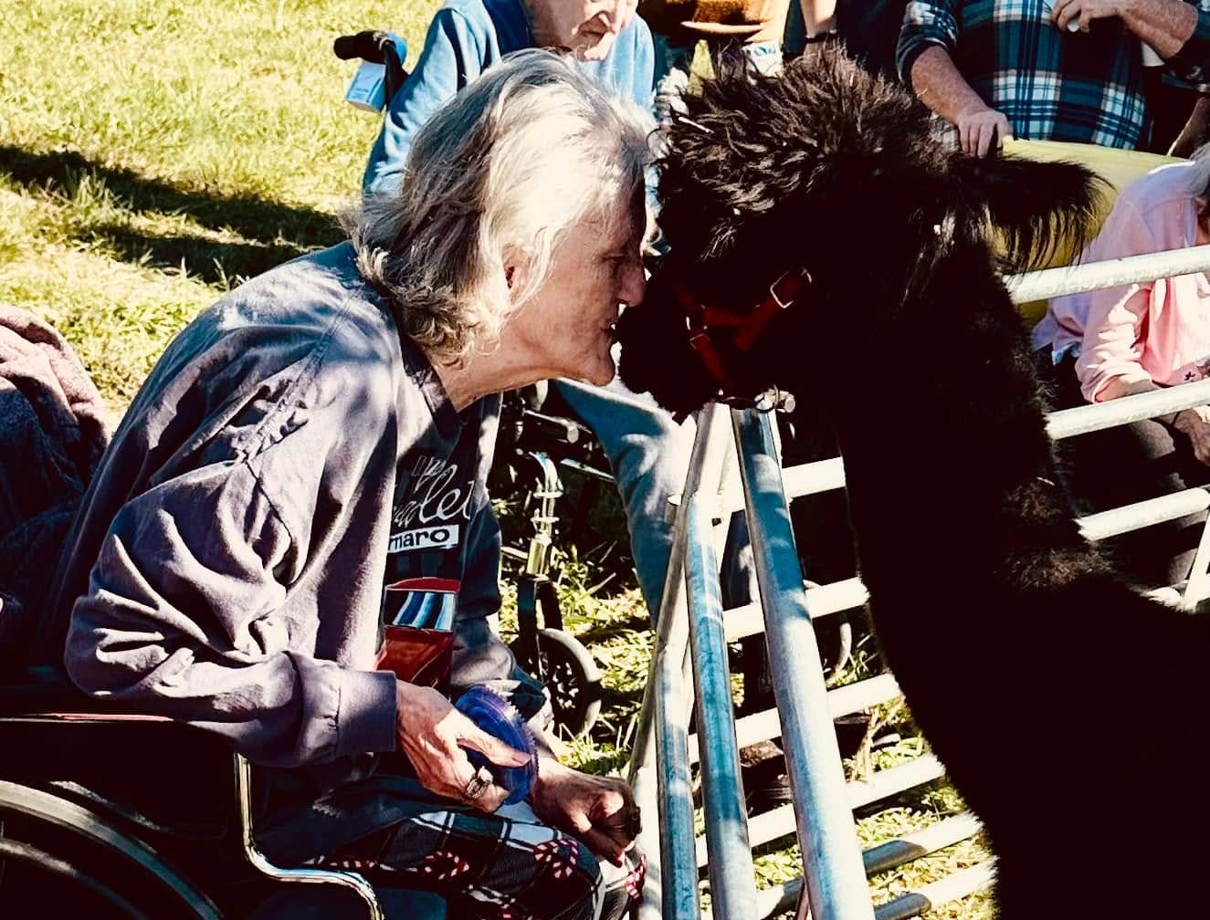 A resident sharing a moment with a visiting therapy alpaca